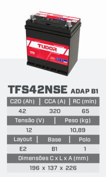 tfs42NSE ADAP B1