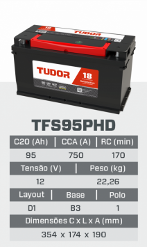 tfs95PHD