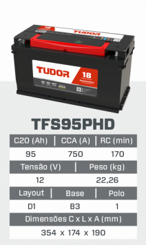 tfs95PHD